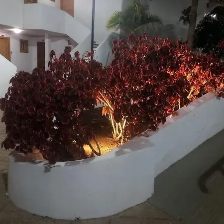 Apartament Elisa En Garden Con Piscina Climatizada Playa Feñabe
